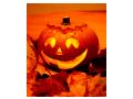 halloween halloween