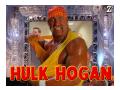 Hulk Hogan2