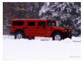 Hummer