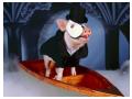 Imagini animale