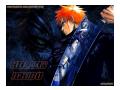 Imagini Bleach