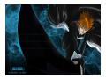 Imagini Bleach