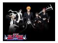 Imagini Bleach