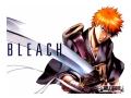 Imagini Bleach