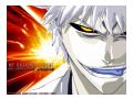 Imagini Bleach