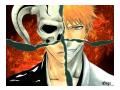 Imagini Bleach