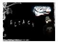 Imagini Bleach