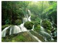 Imagini Natura