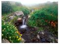 Imagini Natura