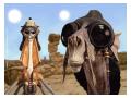 Imagini Star Wars
