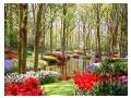 in parc in parc
