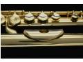 Instrumente muzicale