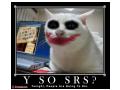 Joker Cat