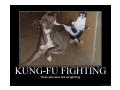 Kung Fu Fighting