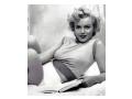 Marilyn Monroe Marilyn Monroe