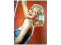 Marilyn Monroe Marilyn Monroe