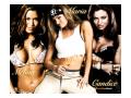Melina, Maria & Candice - Hottest Divas Ever