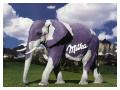 Milka