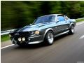 Mustang gt500