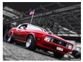 Mustang mach