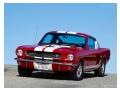 Mustang shelby gt350