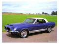 Mustang shelby gt500 convertible