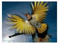 National Geographic