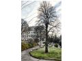 Oradea Oradea