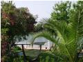 paradis paradis