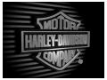 Sigla Harley Davidson