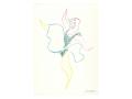 Tablourile lui Pablo Picasso
