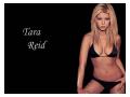 Tara Reid