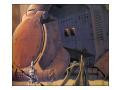 The art of the Starwars