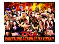 TNA iMPACT - All Superstars and Knockouts
