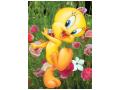 tweety