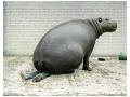 Un hipopotam cam greu
