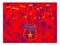 Wallpaper_Steaua