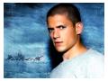 Wentworth Miller