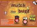 Match The Bugs