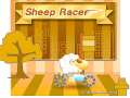 Sheep Racer Sheep Racer