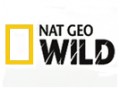  Nat Geo Wild