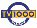  TV 1000